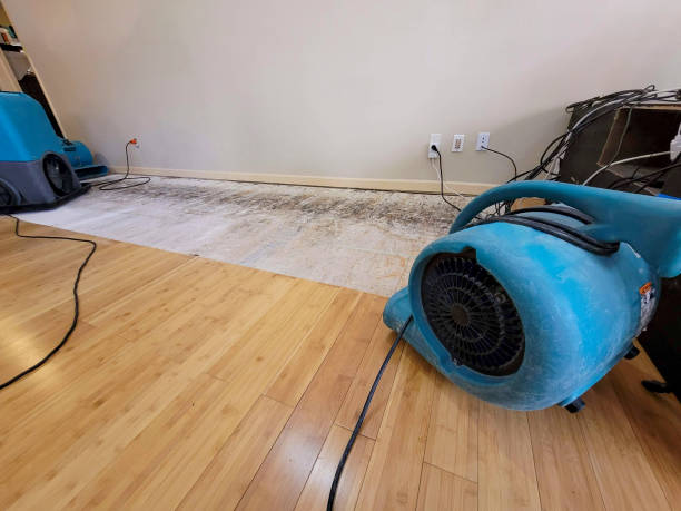 Professional Water Damage Repair technician working in Oakdale, PA